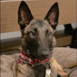 Meet your Posher, Clarissa